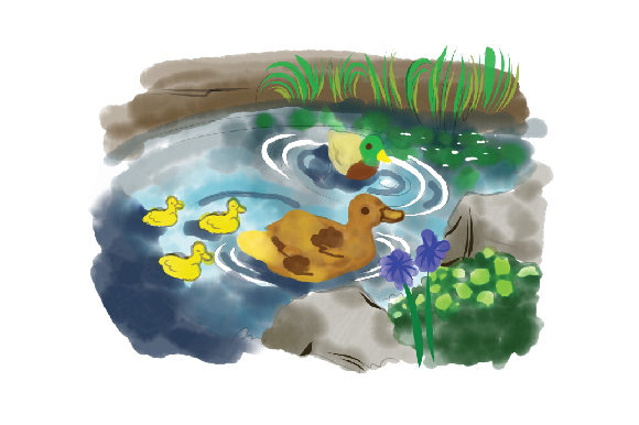 Review: Watercolor Pond Setting for Real Embroidery Projects
