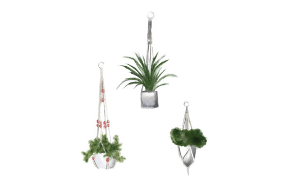 Watercolor Hanging Plants Review: A Designs Amp Asset