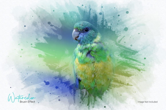 Watercolor Photo Effect Template & Brushes Review